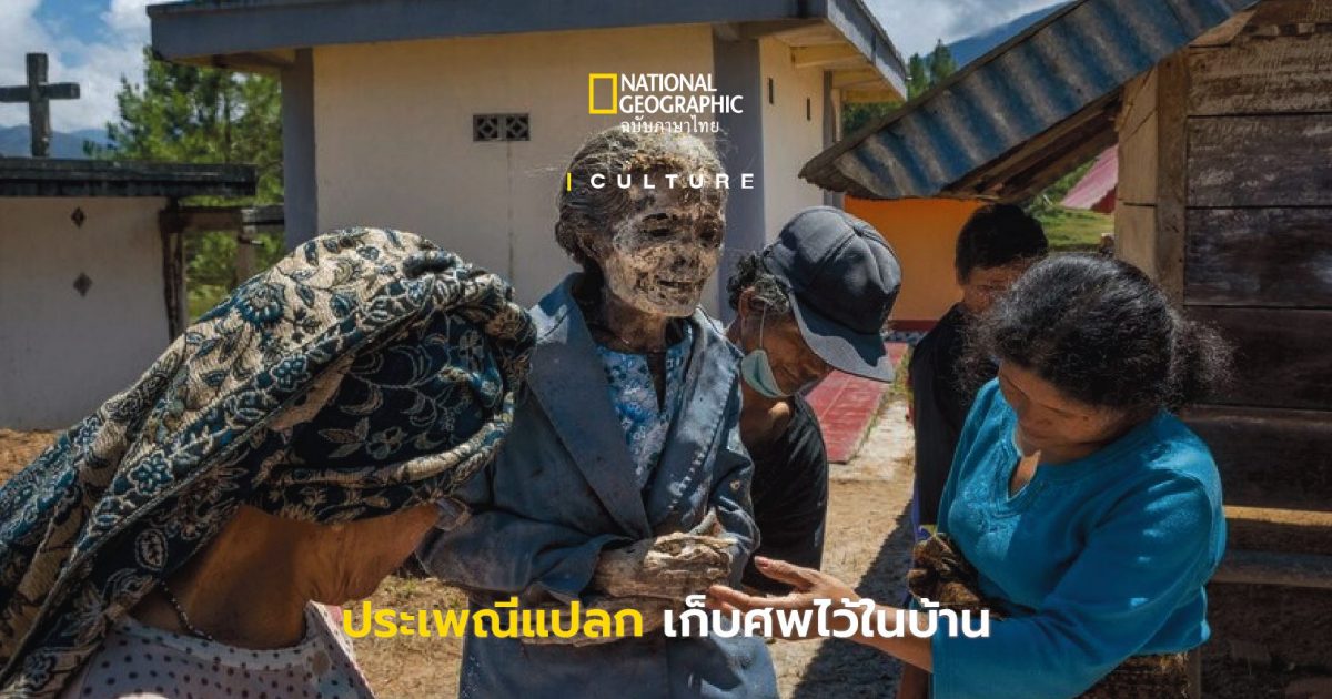 ประเพณีแปลก เก็บศพไว้ในบ้าน ที่อินโดนีเซีย
