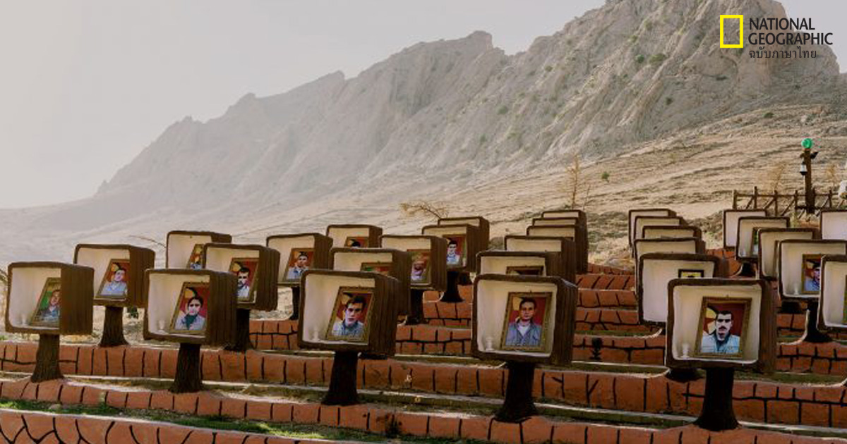 ชีวิตหลังไอซิส