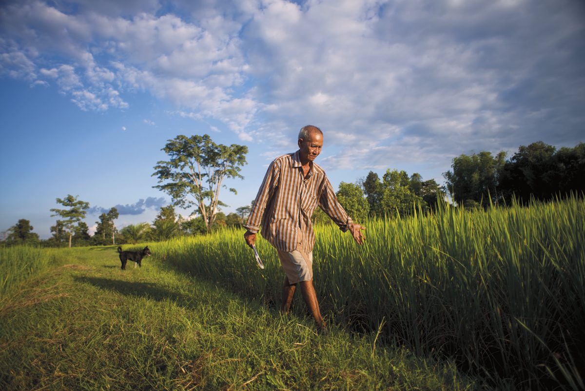 โลกร้อน