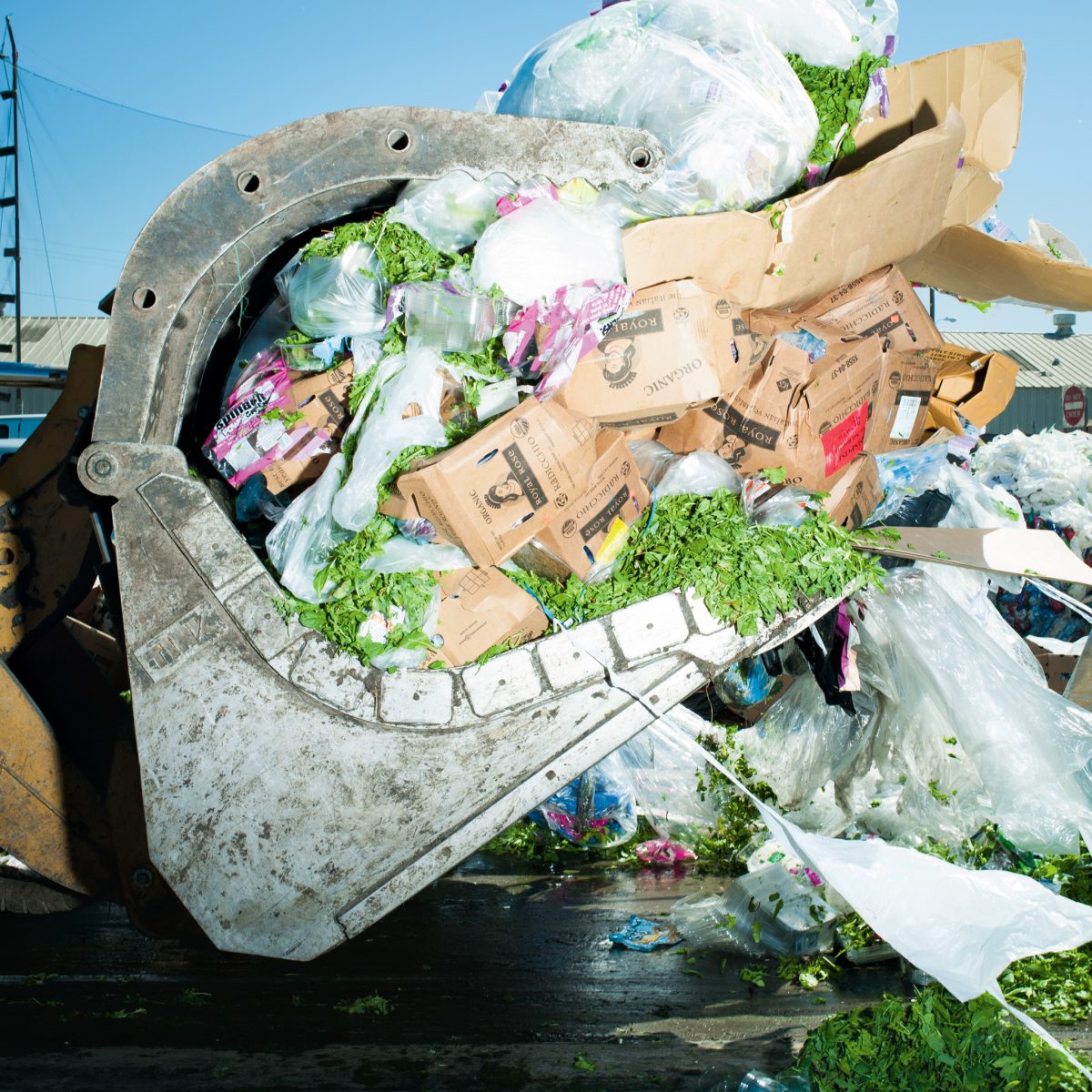 ถ้าไม่ทิ้งขว้าง ก็มีเหลือเฟือ