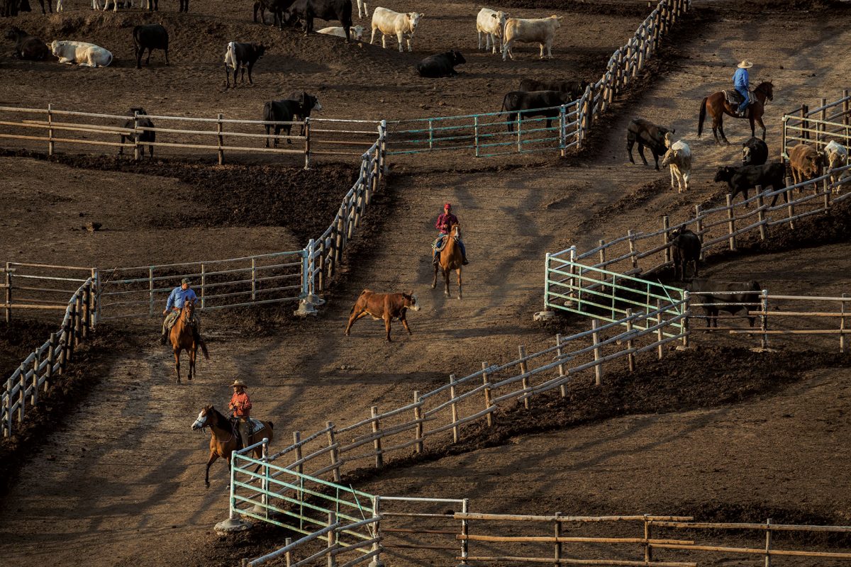 จนถึงหยดสุดท้าย