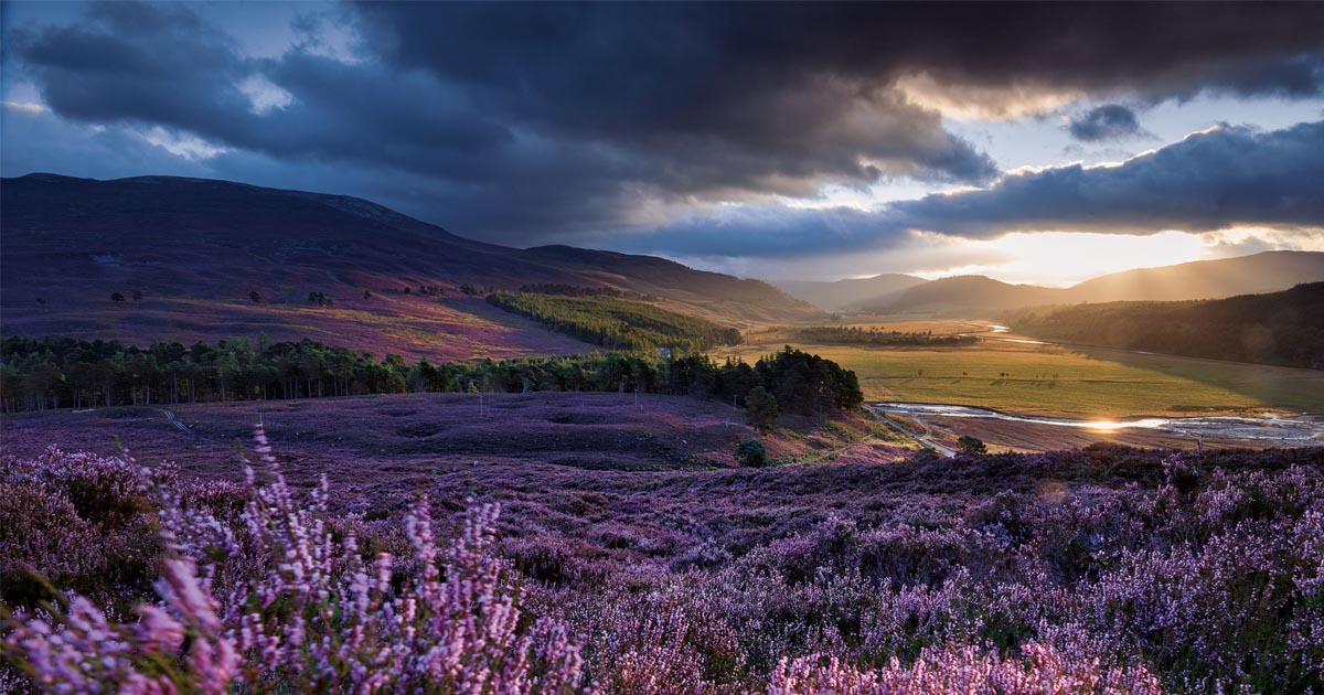 สกอตแลนด์