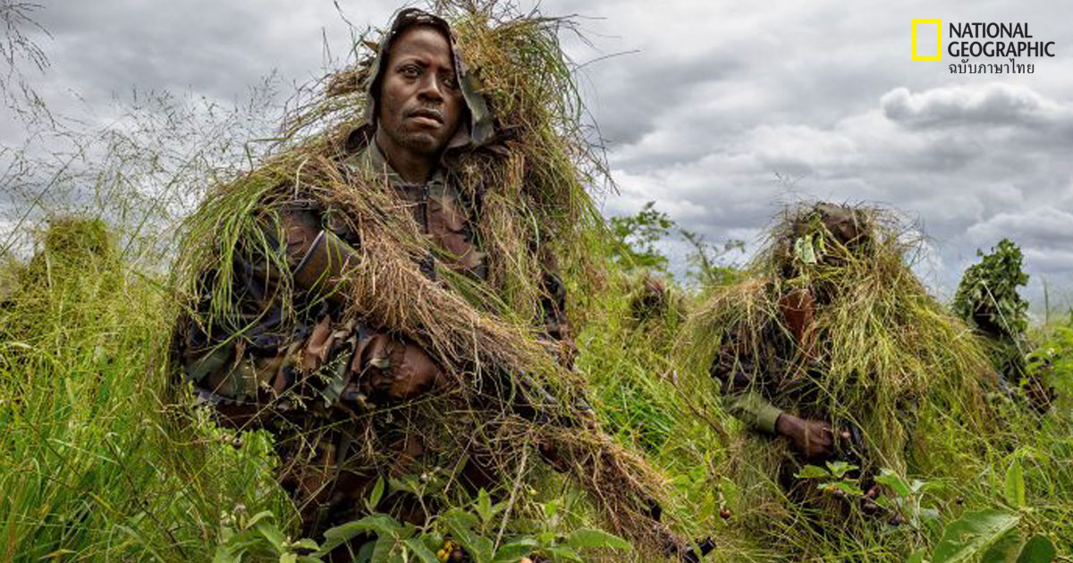 สงครามพิทักษ์วีรุงกา