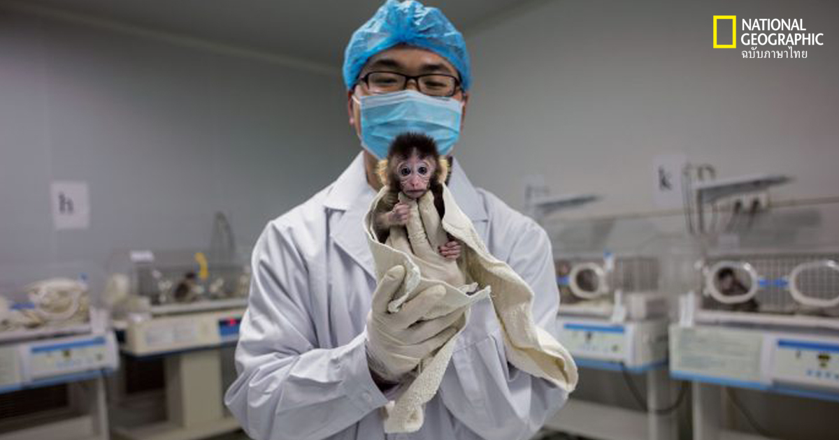 ดีเอ็นเอ