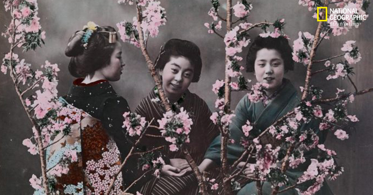 ช่างภาพหญิง