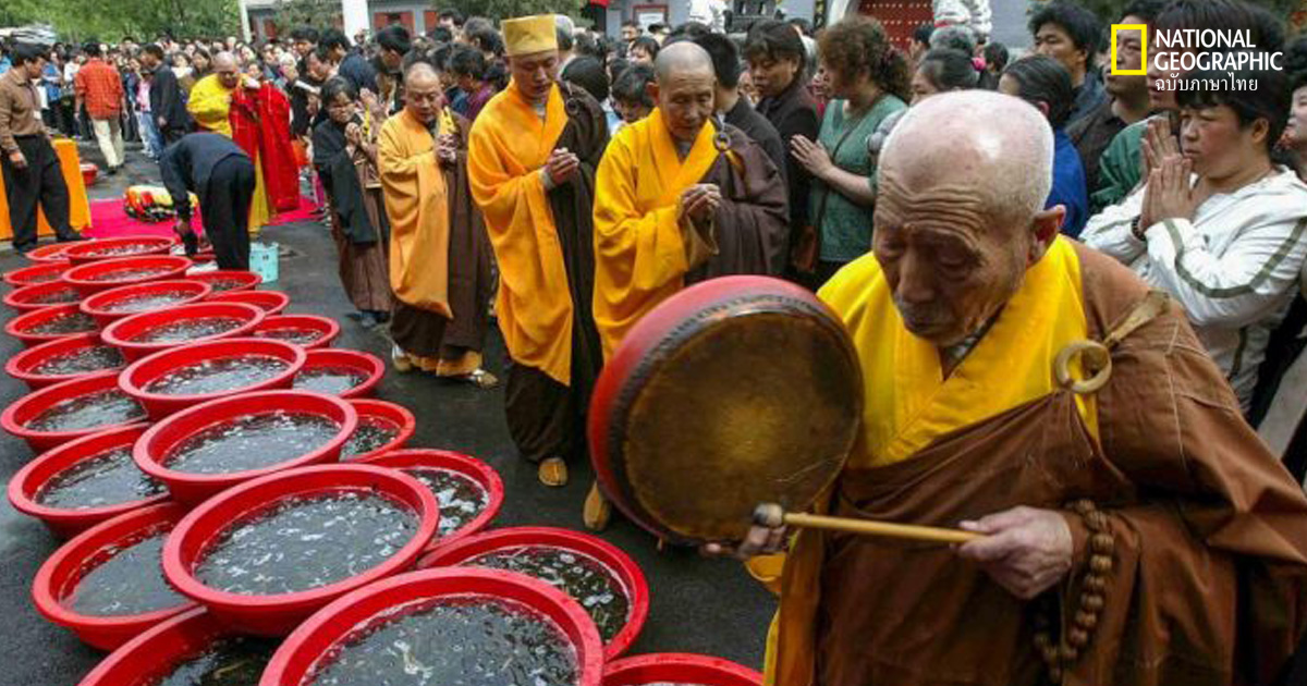 ปล่อยสัตว์