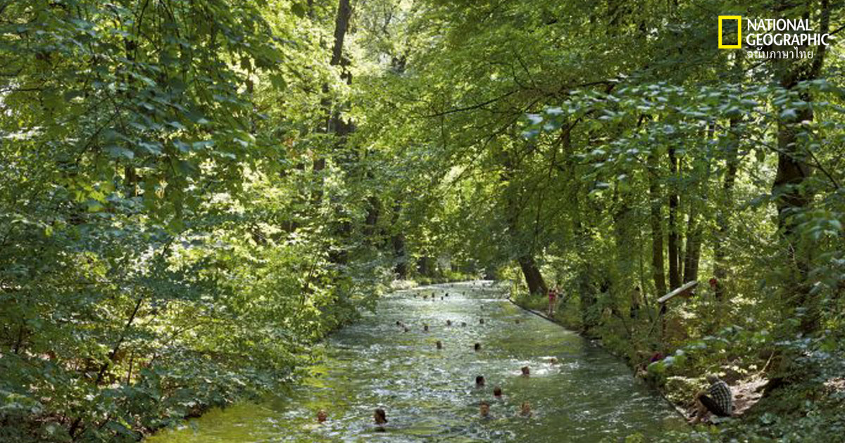 อุทยานกลางเมือง