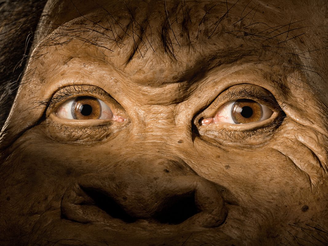 มนุษย์ปริศนาหน้าใหม่ (First Human)