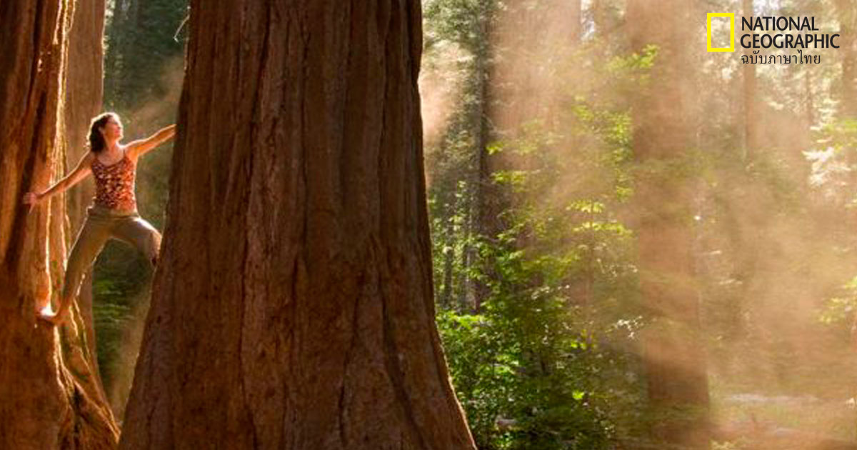 ความคิดสร้างสรรค์