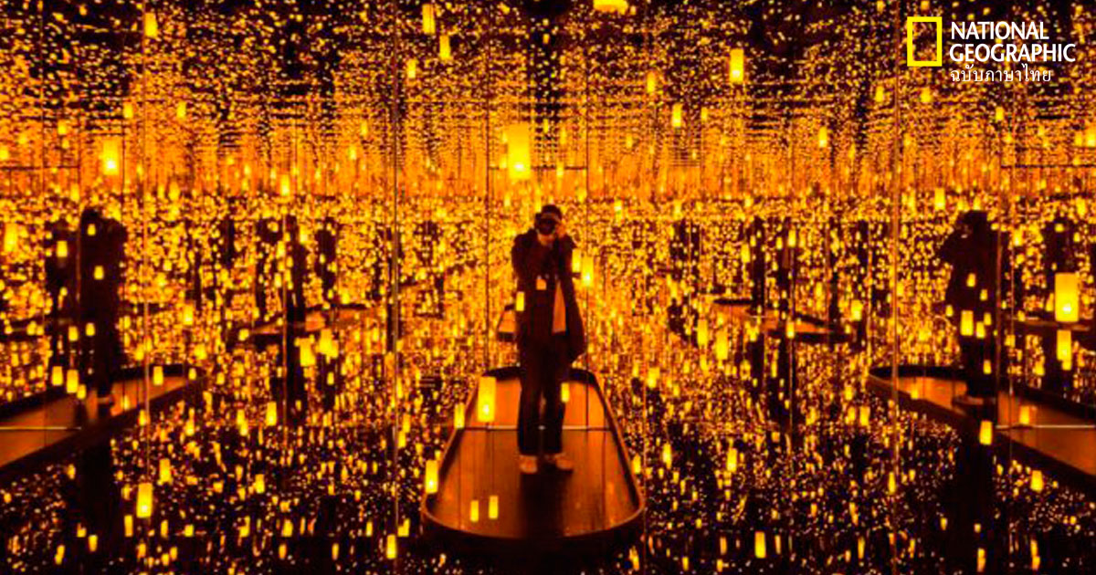 เทคนิคการถ่ายภาพ