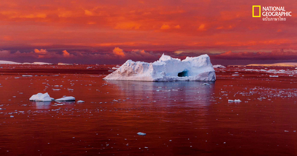 โลกร้อน