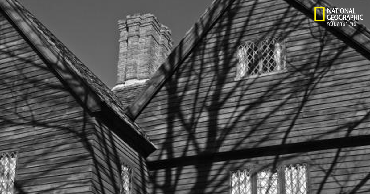 การล่าแม่มด