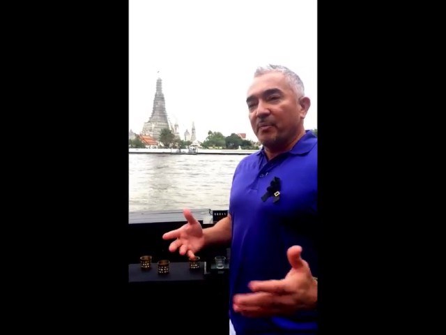 ซีซาร์ มิลแลน