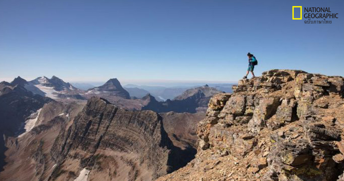 เดินป่า