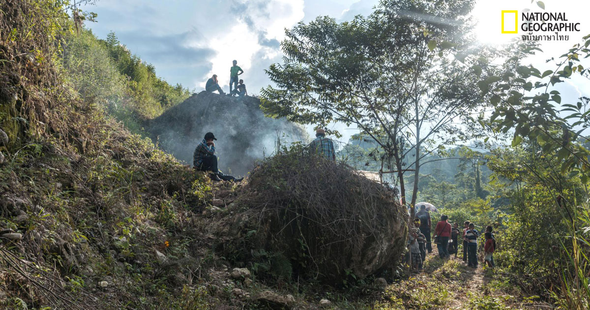 นักสิ่งแวดล้อม