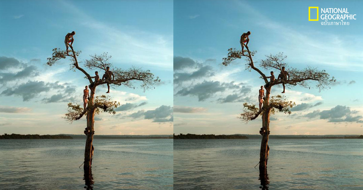 ชนเผ่าแอมะซอน