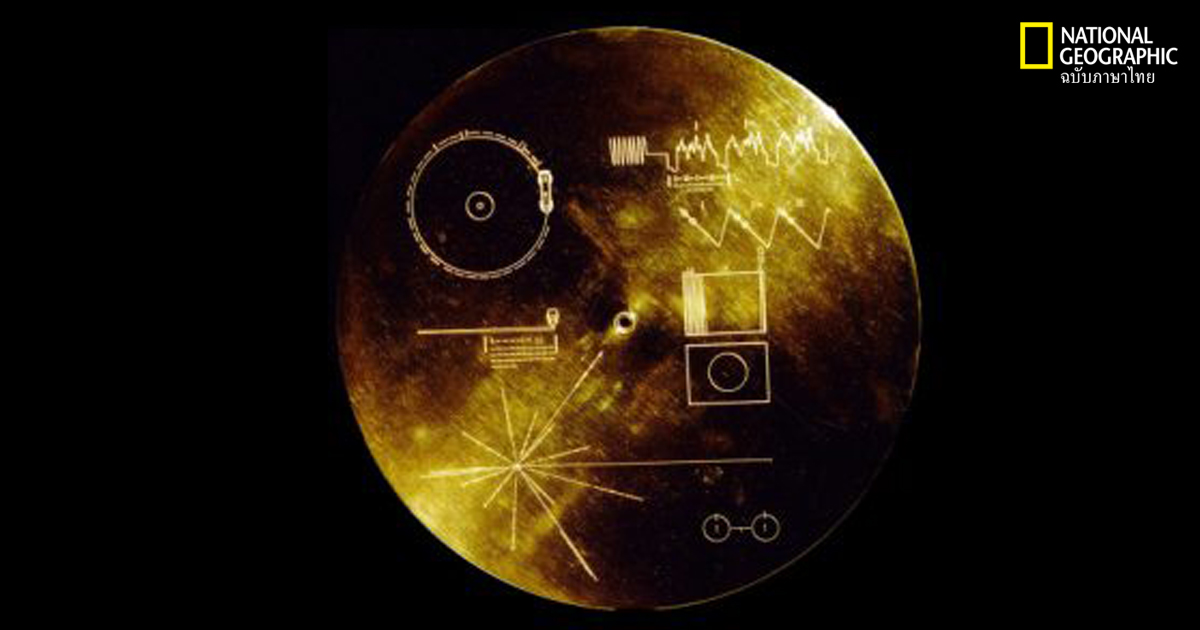 มนุษย์ต่างดาว