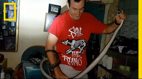 เป็นคุณจะทำอย่างไร? ถ้า งูพิษร้ายแรงที่สุดในโลก เลื้อยเข้าบ้าน