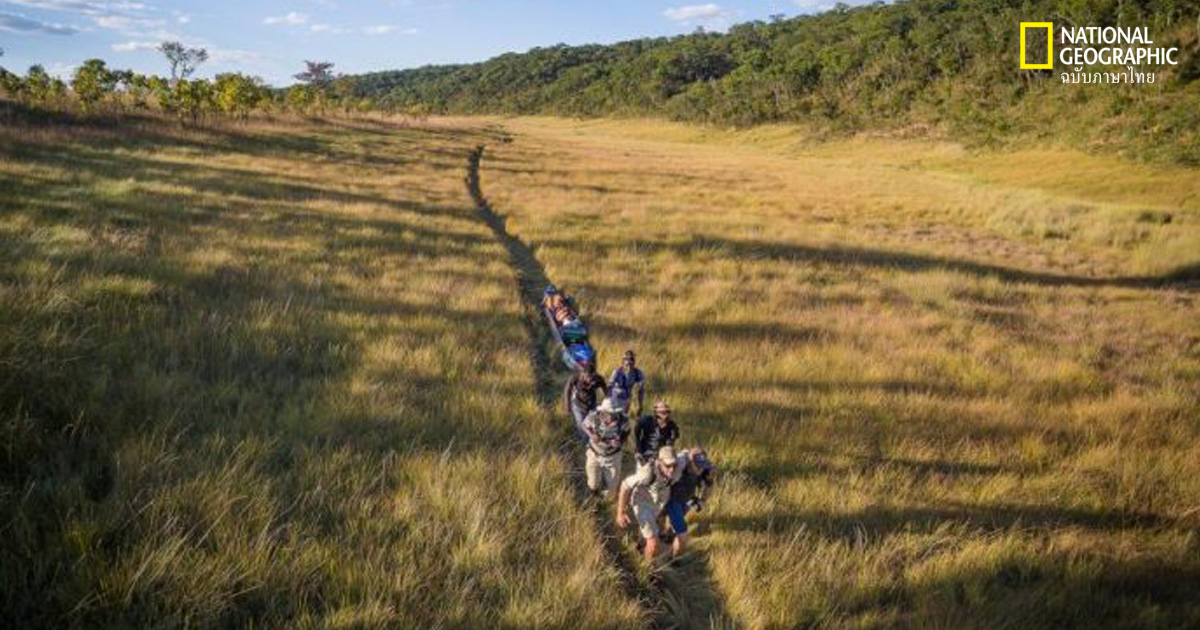 คู่มือเอาชีวิตรอด