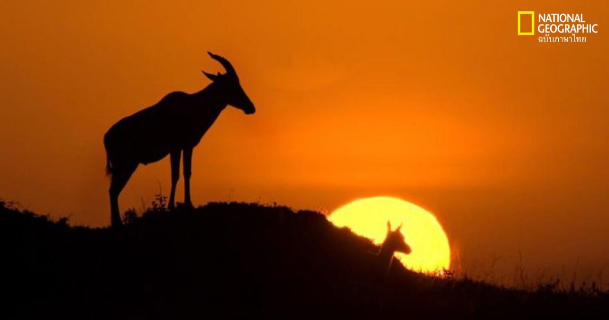 สิ่งมหัศจรรย์ทางธรรมชาติในแอฟริกา