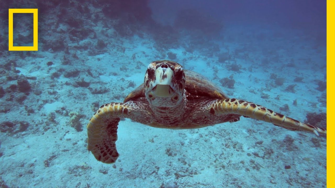 โลกร้อน