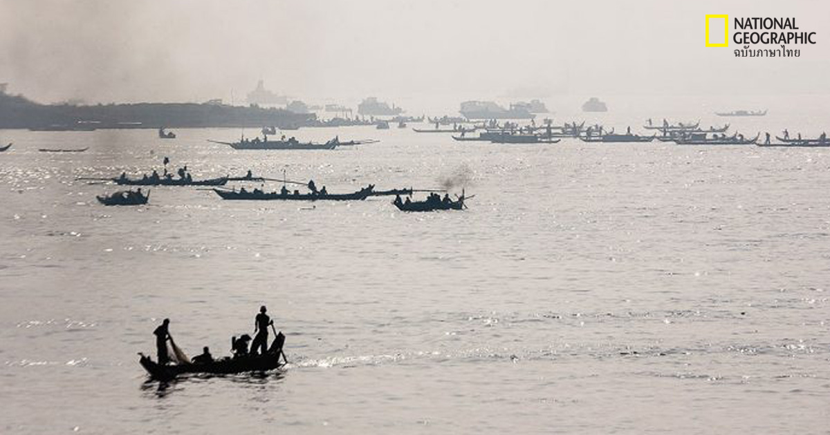 โตนเลสาบ