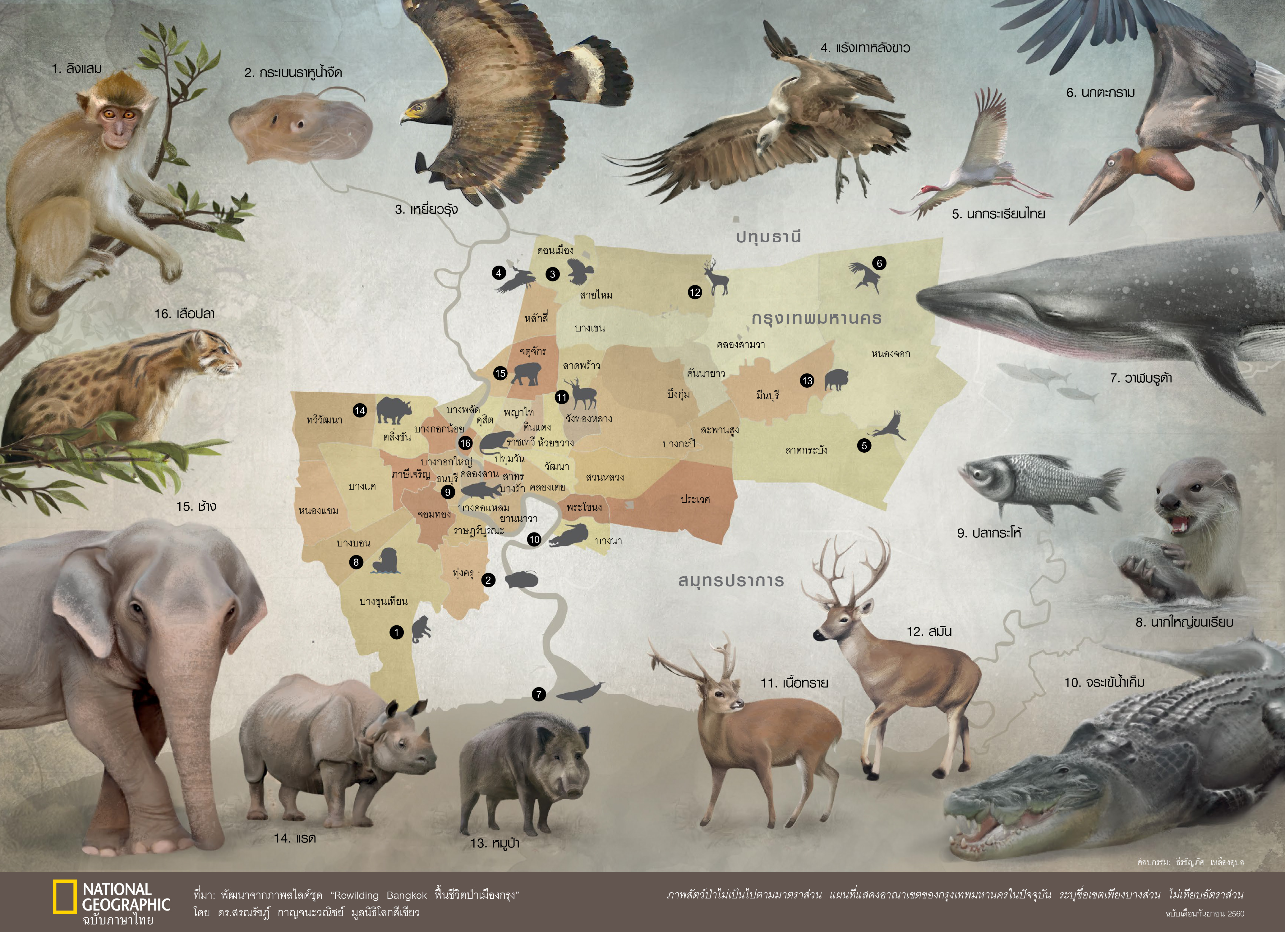 สัตว์ป่า