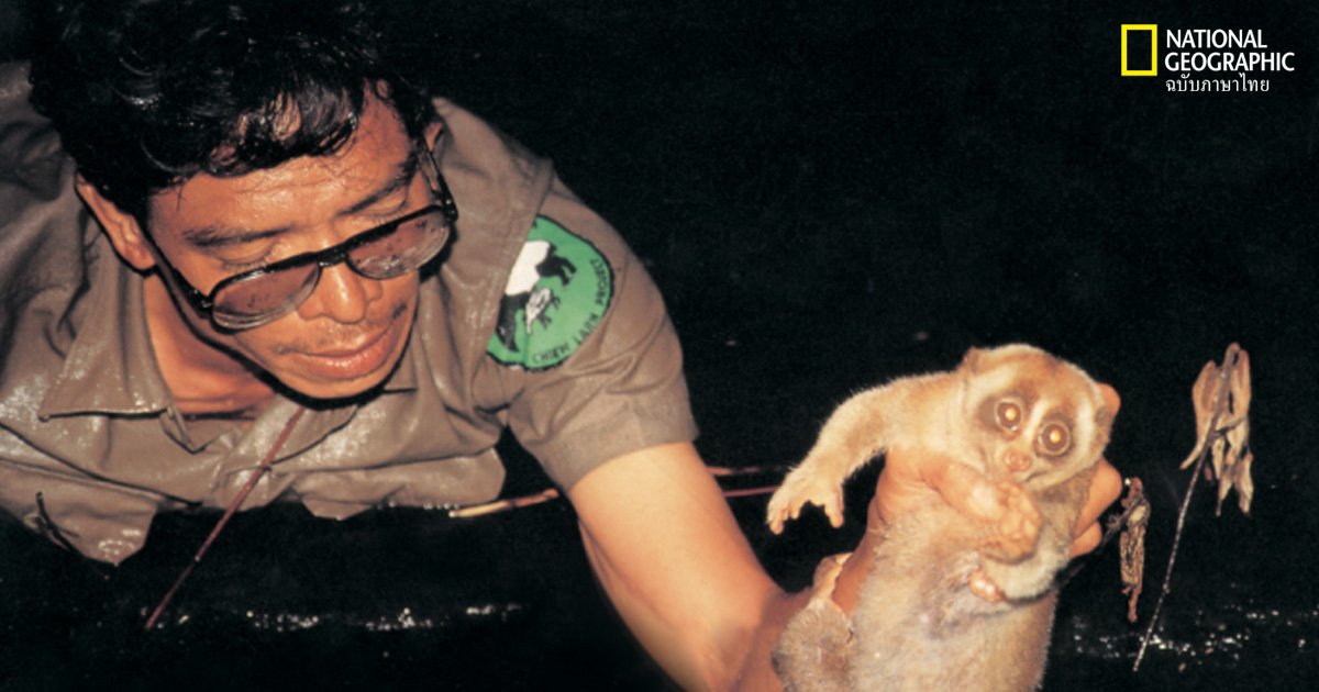 สืบ นาคะเสถียร