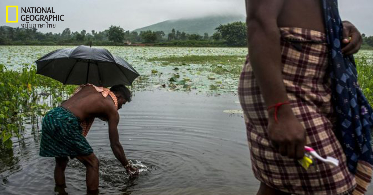 อันตรายที่มองไม่เห็นของชีวิตอันปราศจาก ห้องน้ำ