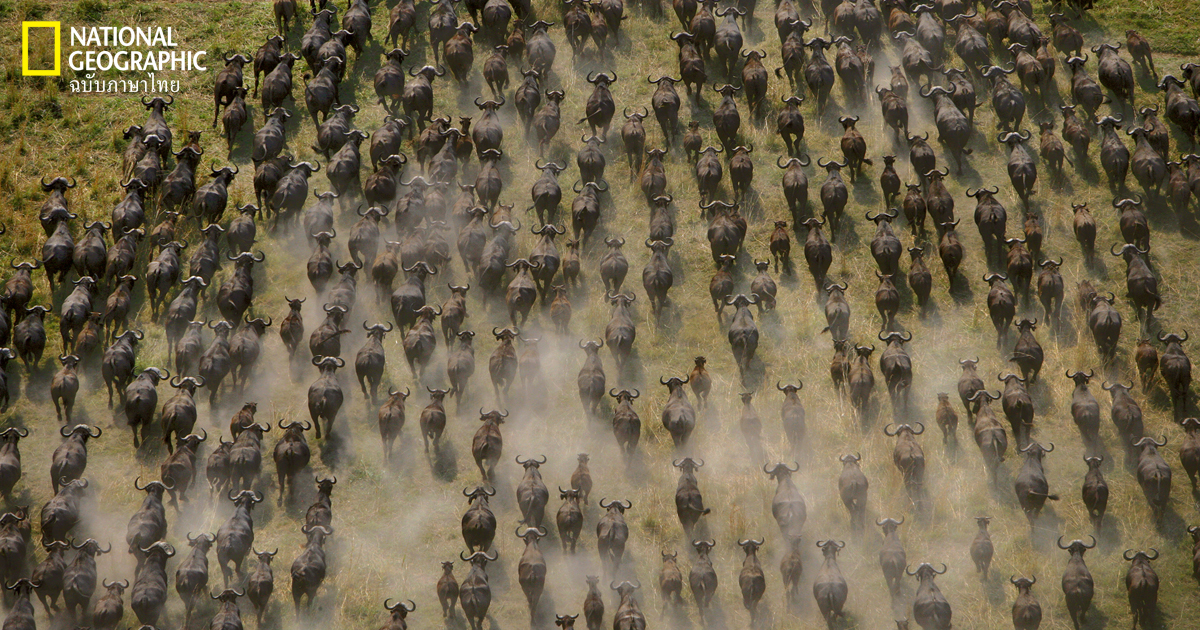 แม่น้ำโอกาวางโก