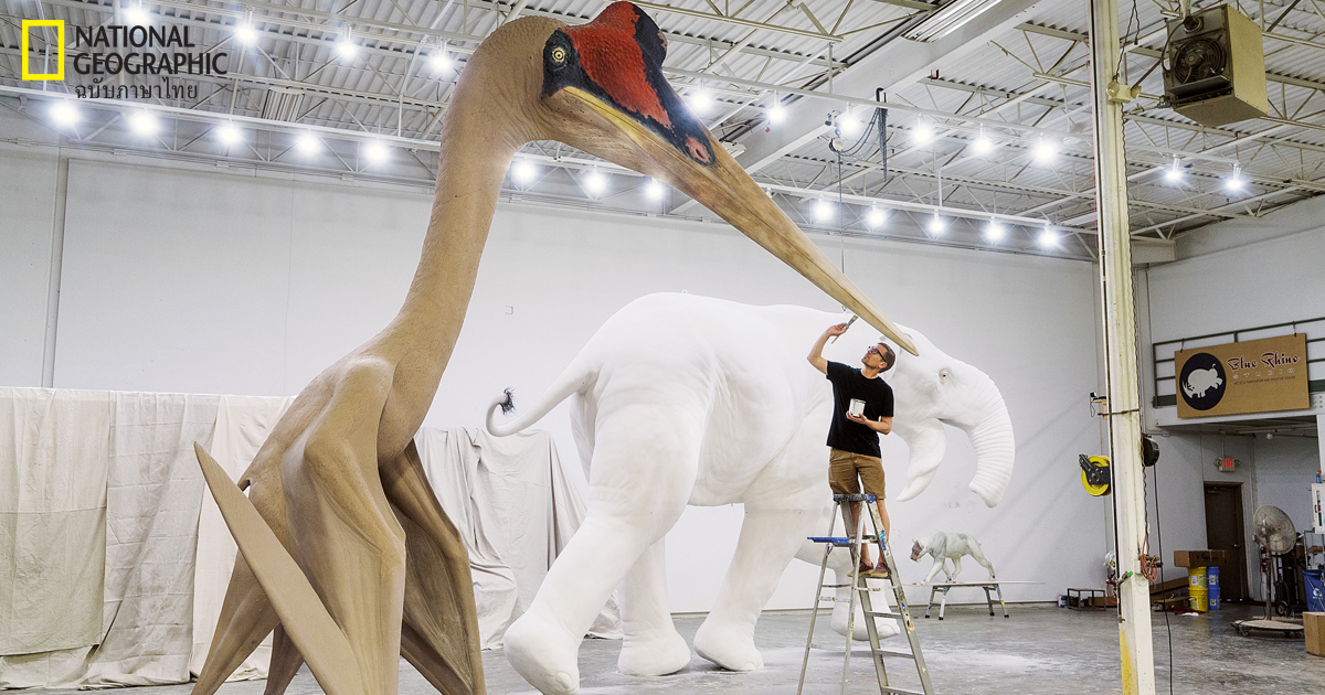 เทอโรซอร์