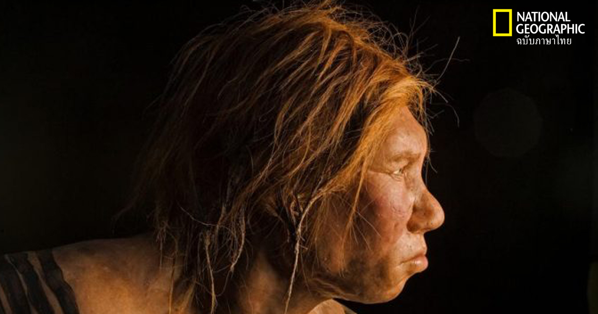 เบาะแสใหม่ชี้ ยีนจากนีแอนเดอร์ทัลส่งผลถึงสุขภาพเรา