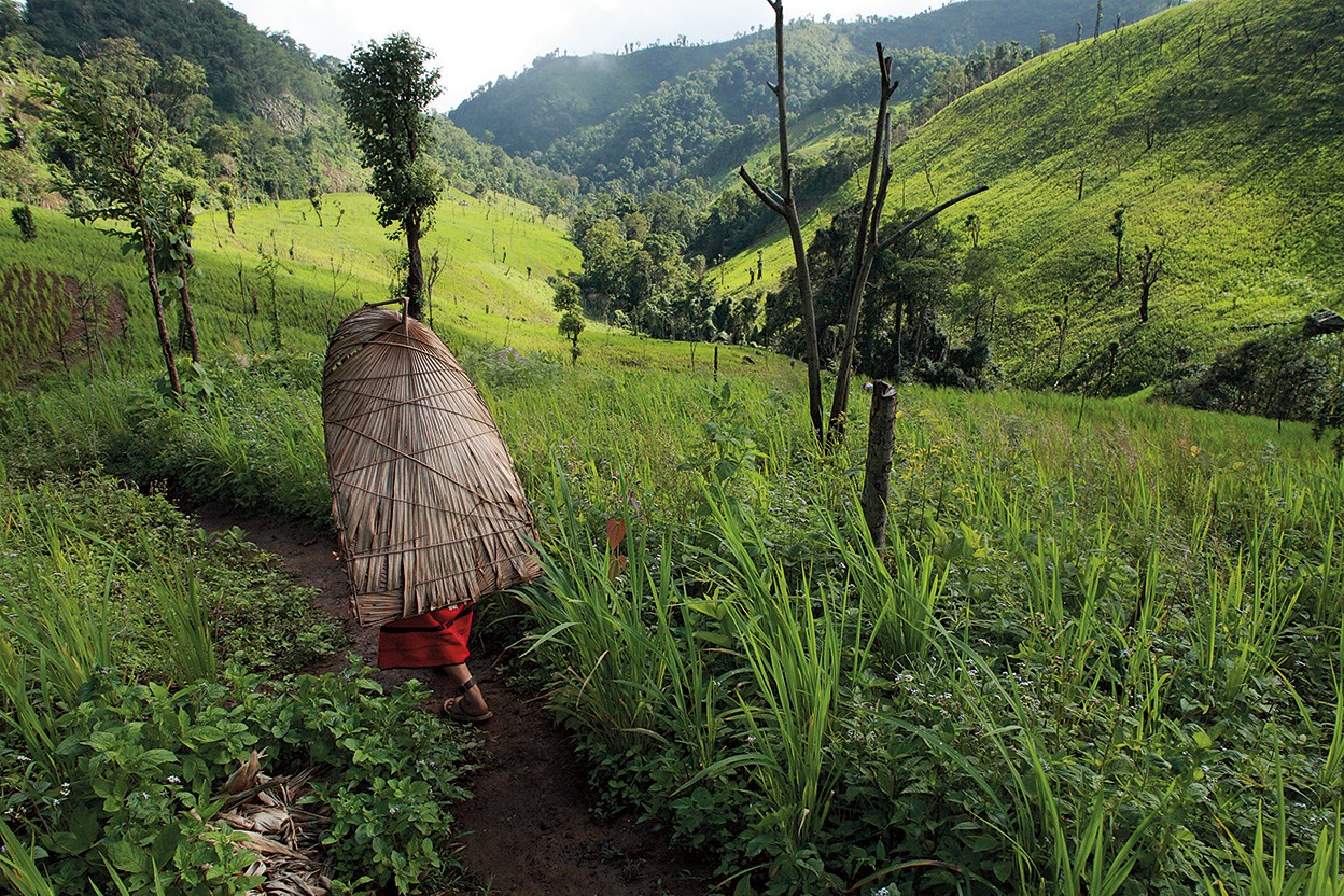 เศรษฐกิจพอเพียง