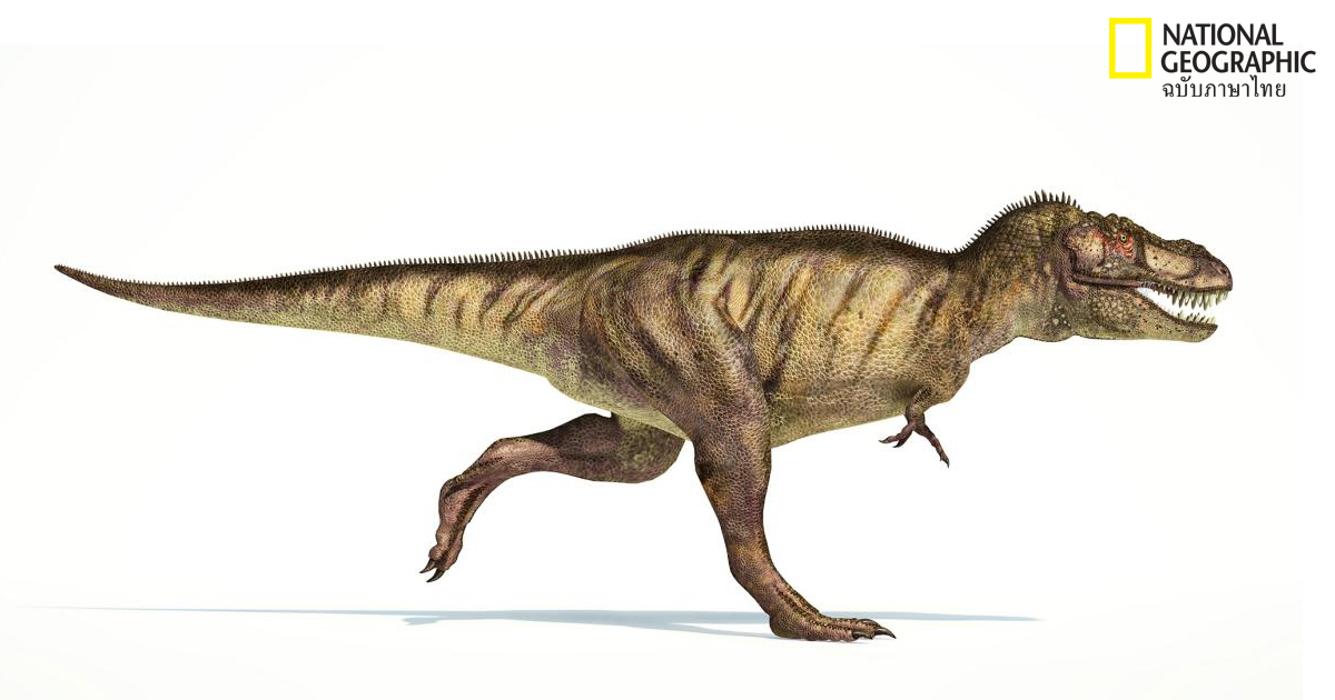 ทีเร็กซ์