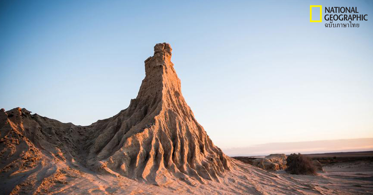 ประวัติศาสตร์มนุษย์