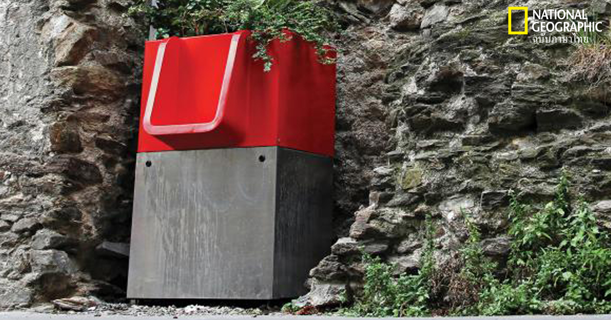 แก้ปัญหากลิ่นฉี่