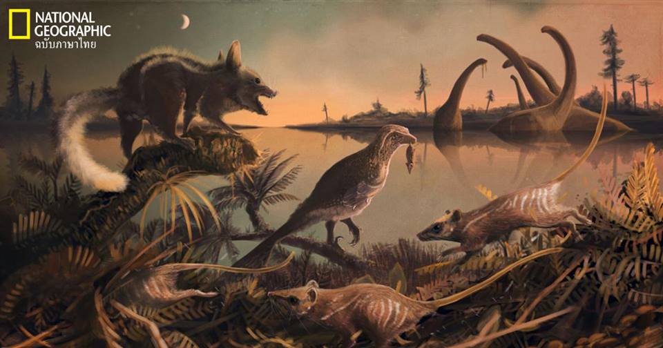 ฟอสซิลสัตว์เลี้ยงลูกด้วยนม