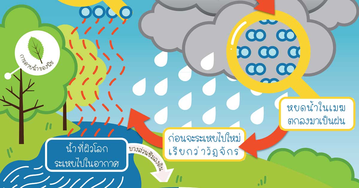 วัฏจักรของน้ำ