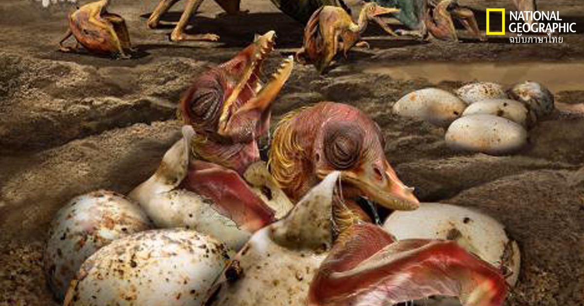 เทอโรซอร์