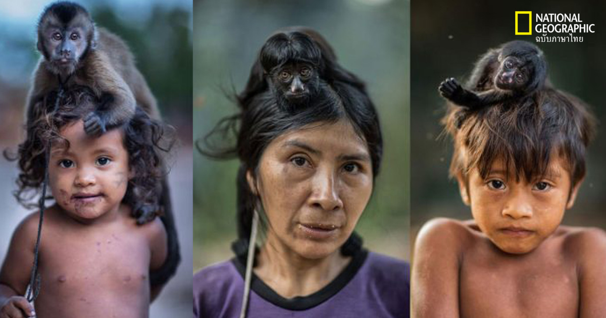 คนและลิง