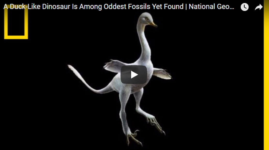 ไดโนเสาร์คล้ายเป็ด