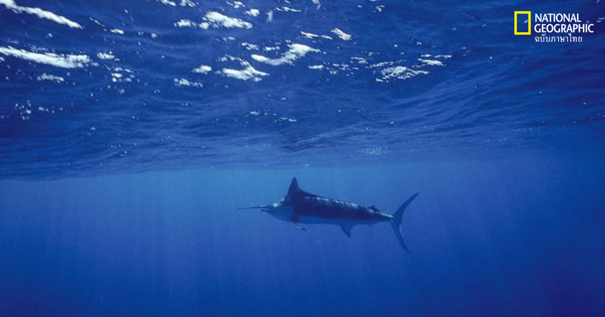 สภาพภูมิอากาศเปลี่ยนแปลง