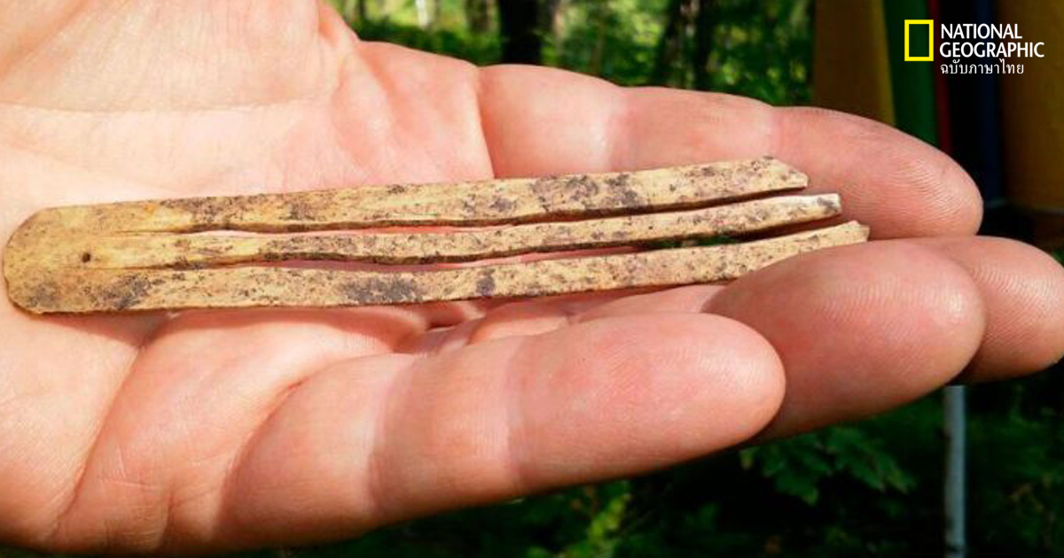 ประวัติศาสตร์เครื่องดนตรี