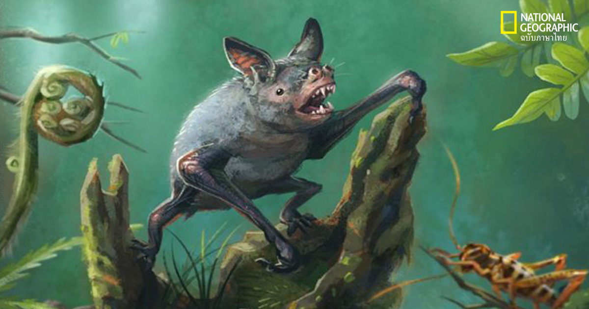 ค้างคาวโบราณ