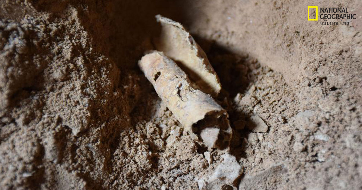 ม้วนหนังสือเดดซี