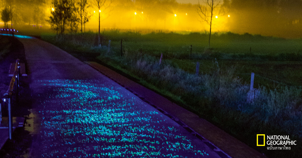 นวัตกรรมเพื่อเมือง