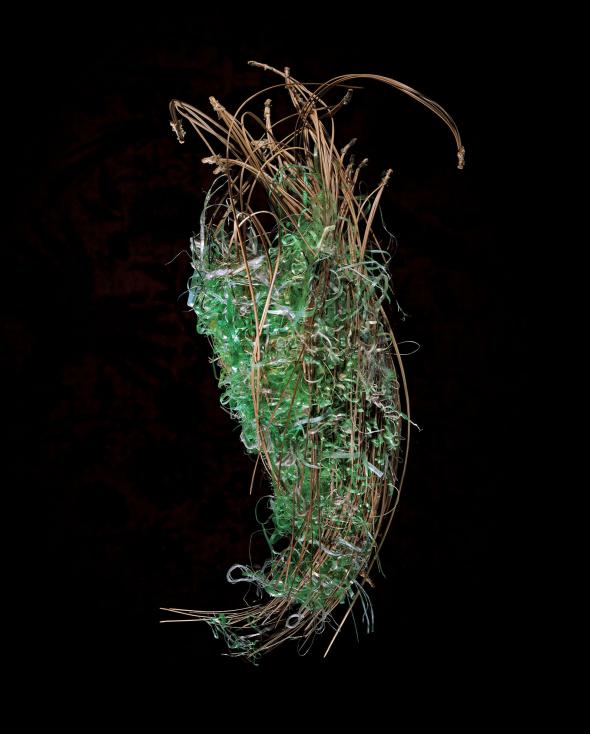 เหตุใดนกเหล่านี้จึงตกแต่งรังของมันด้วยขยะ