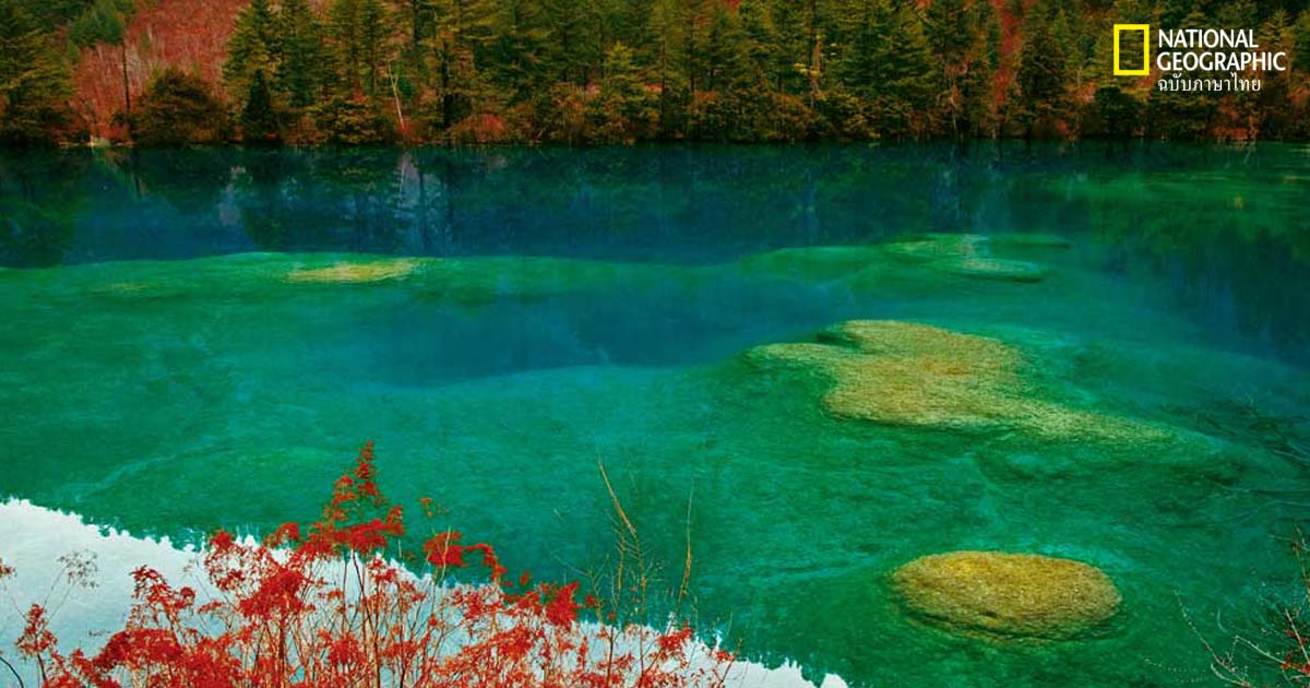 จิ่วไจ้โกว