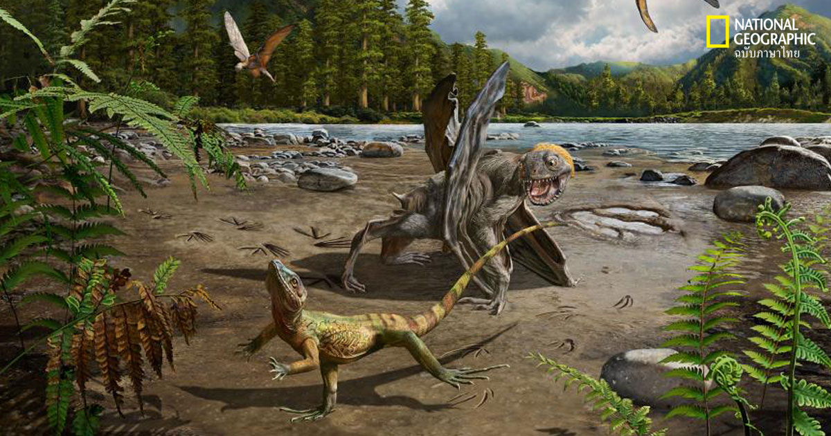 ฟอสซิลรอยเท้า