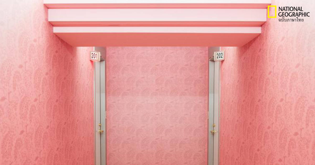 ม่านรูด